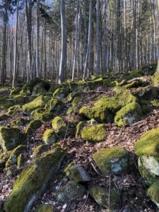 Hobitie skaly nad závodom PPS