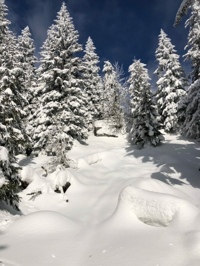 Skialp Poľana